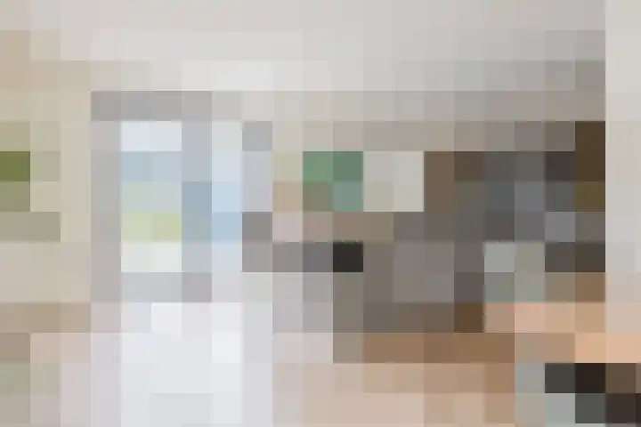 it Fjild 10 Nieuwehorne thumbnail 40