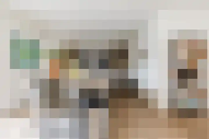 it Fjild 10 Nieuwehorne thumbnail 41