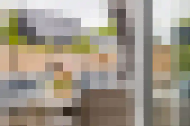 it Fjild 10 Nieuwehorne thumbnail 43