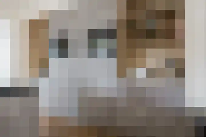 it Fjild 10 Nieuwehorne thumbnail 45