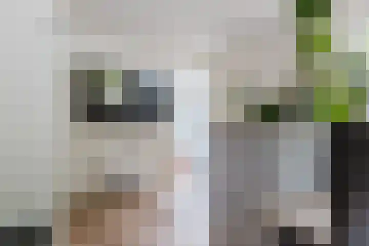 it Fjild 10 Nieuwehorne thumbnail 50