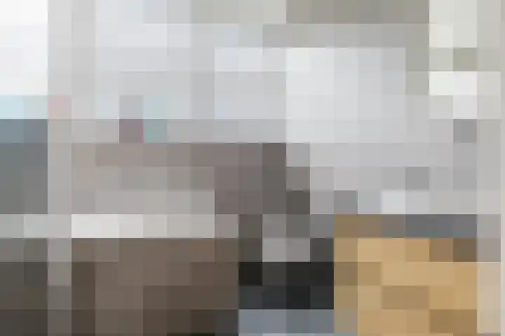 it Fjild 10 Nieuwehorne thumbnail 55