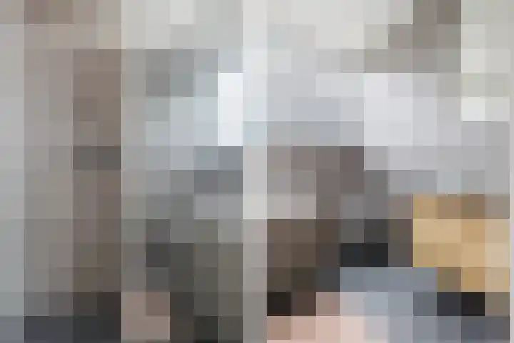 it Fjild 10 Nieuwehorne thumbnail 56