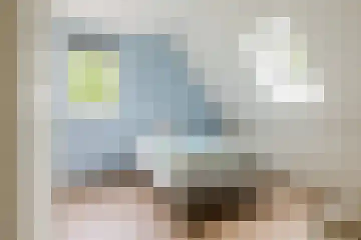 it Fjild 10 Nieuwehorne thumbnail 60
