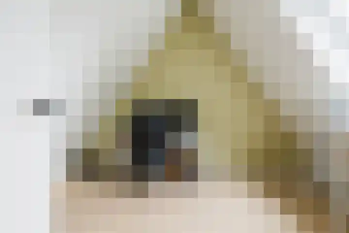 it Fjild 10 Nieuwehorne thumbnail 63
