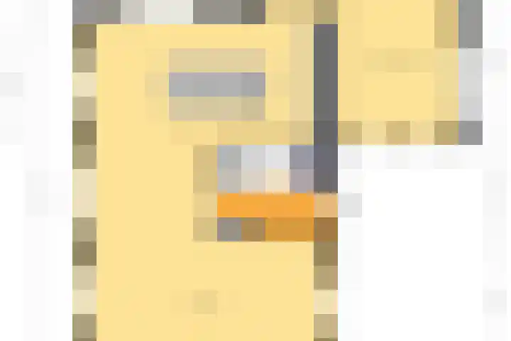 it Fjild 10 Nieuwehorne thumbnail 66