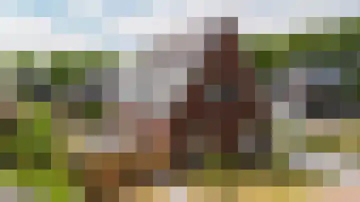 it Fjild 10 Nieuwehorne thumbnail 69