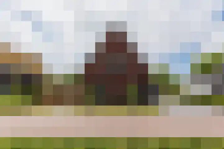 it Fjild 10 Nieuwehorne thumbnail 8