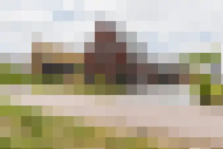 it Fjild 10 Nieuwehorne thumbnail 9