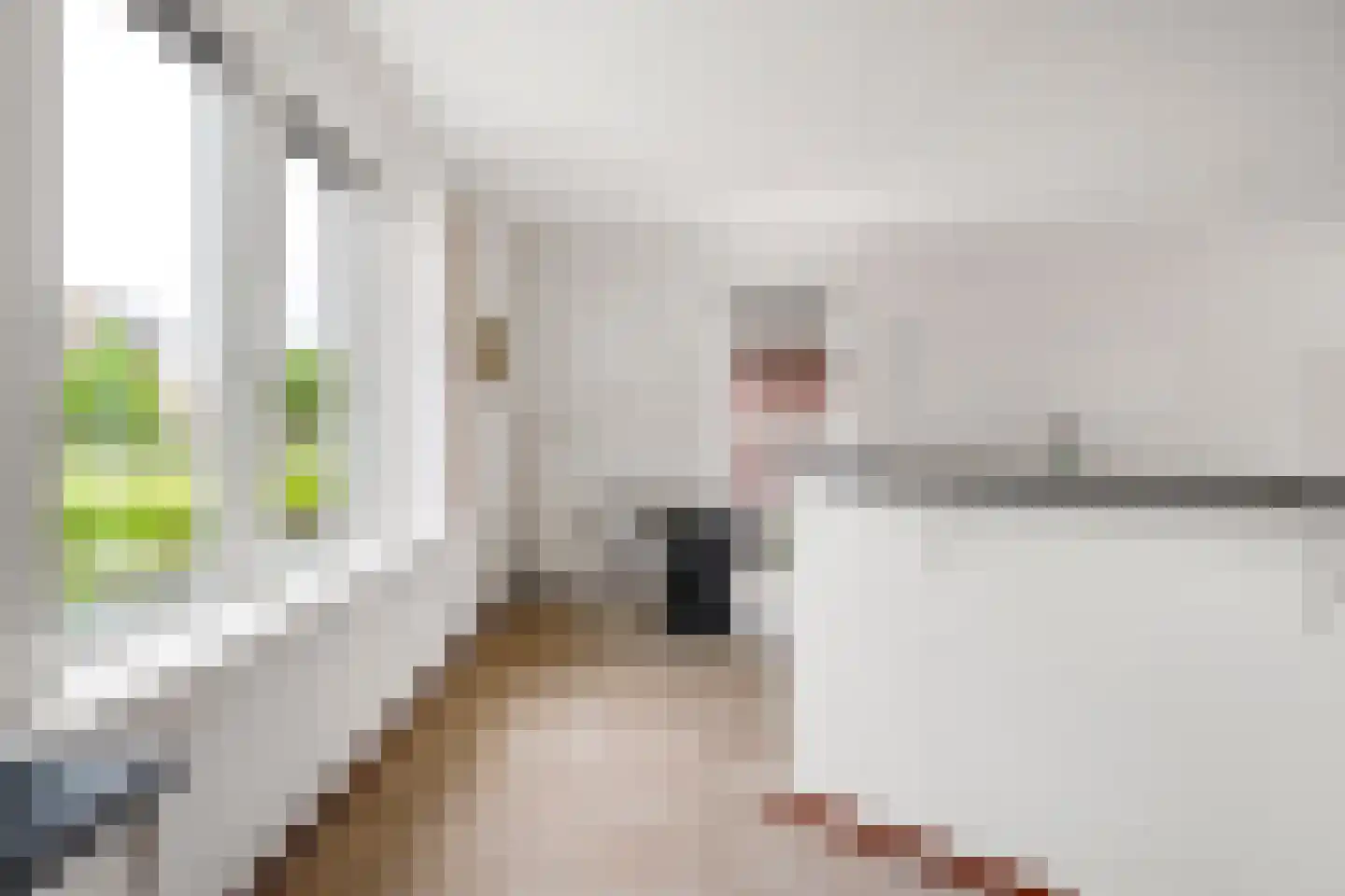 It Fjild 15 Grou thumbnail 12