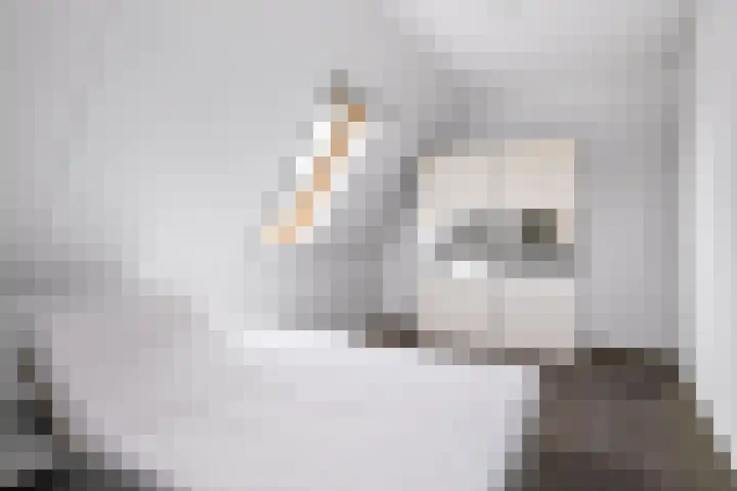 It Fjild 15 Grou thumbnail 21