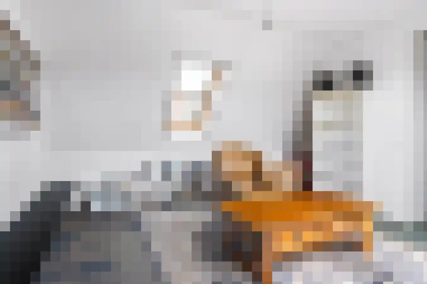 It Fjild 15 Grou thumbnail 28