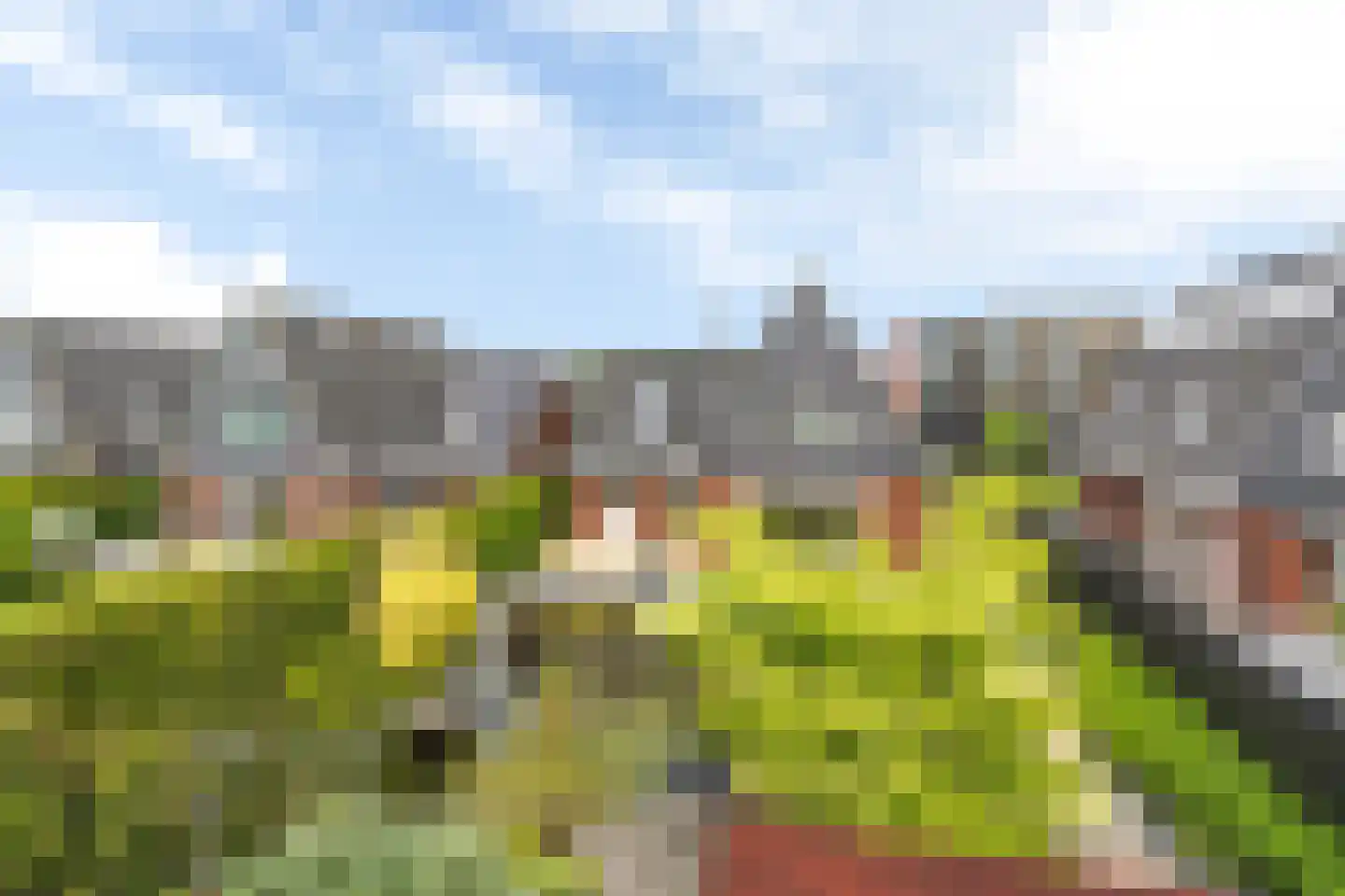 It Fjild 15 Grou thumbnail 34