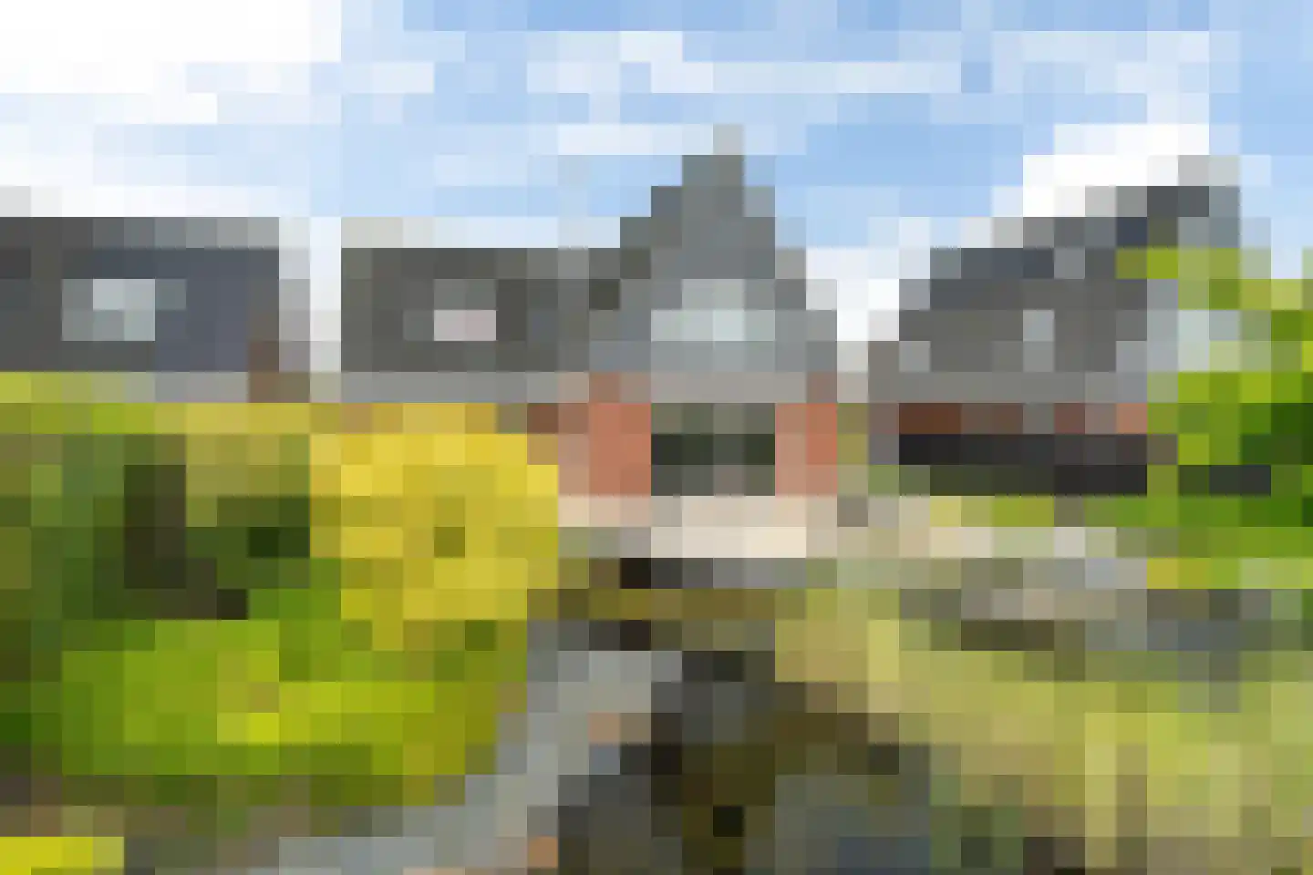 It Fjild 15 Grou thumbnail 35