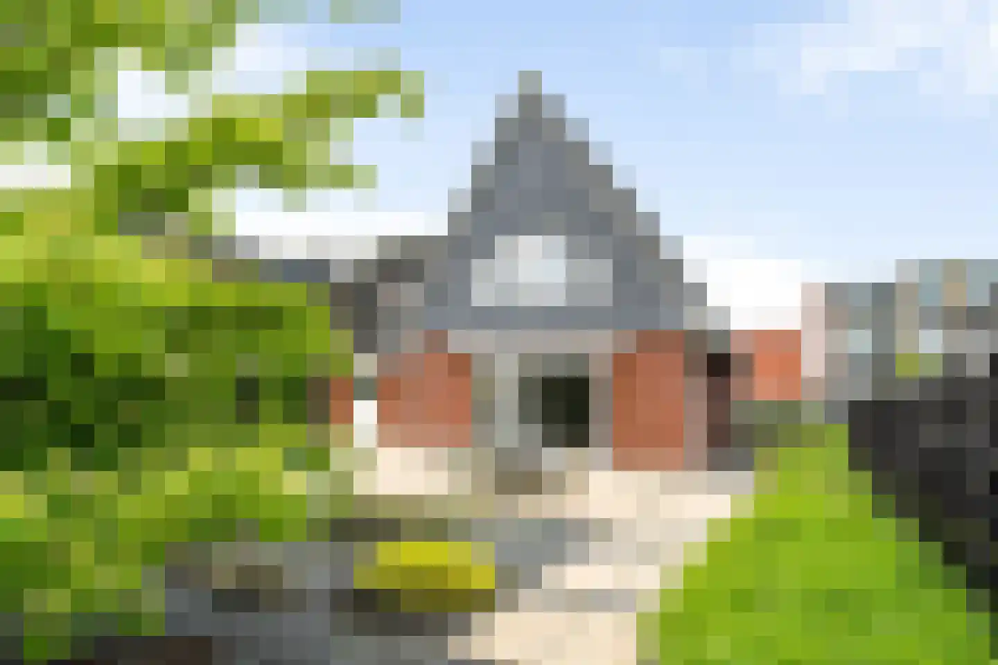 It Fjild 15 Grou thumbnail 36