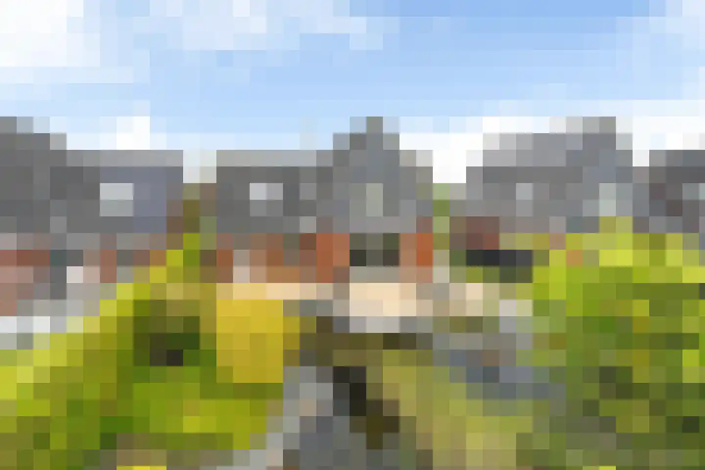 It Fjild 15 Grou thumbnail 38