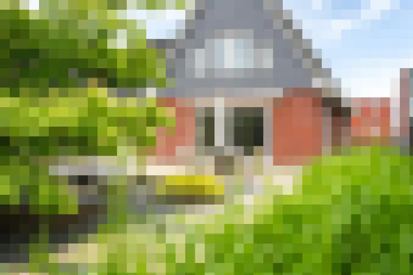 It Fjild 15 Grou thumbnail 40
