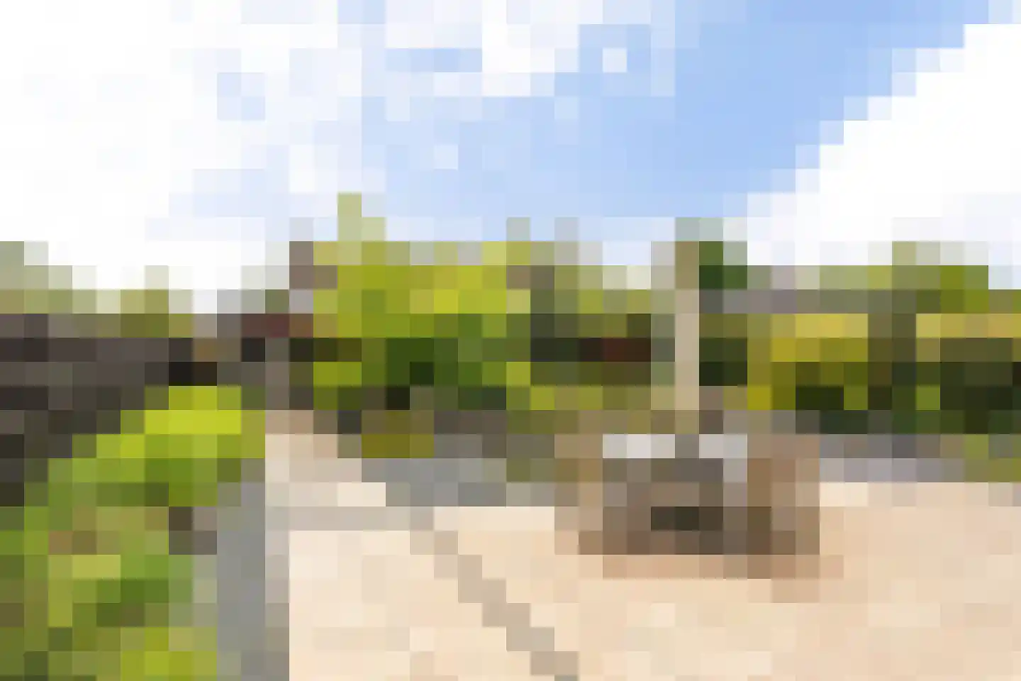 It Fjild 15 Grou thumbnail 43