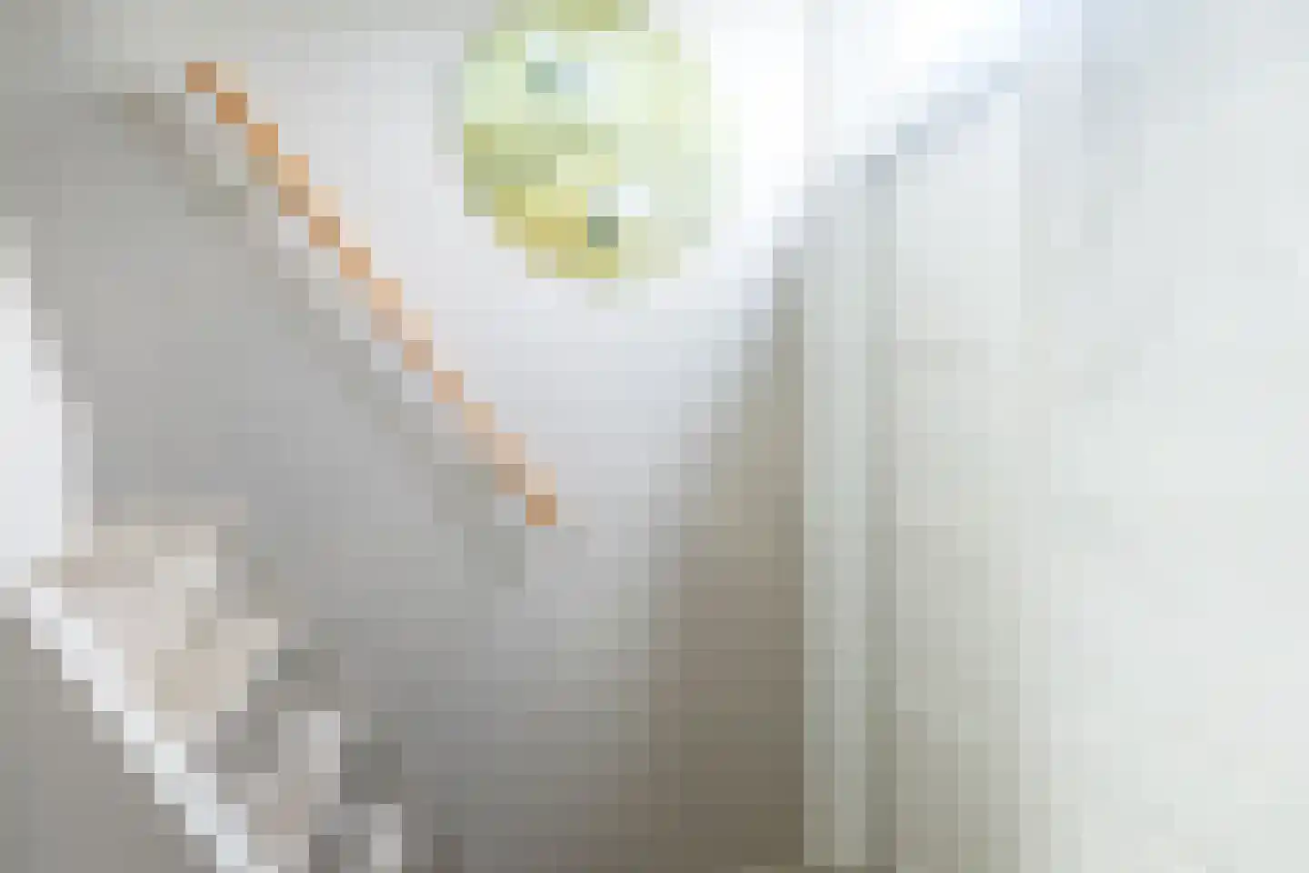 It Fliet 6 Earnewâld thumbnail 15