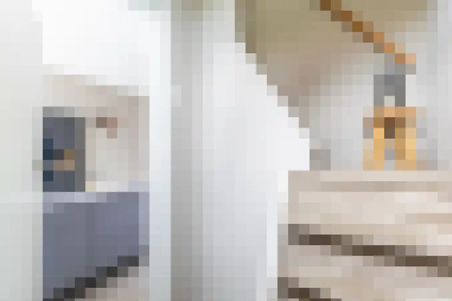 It Fliet 6 Earnewâld thumbnail 16