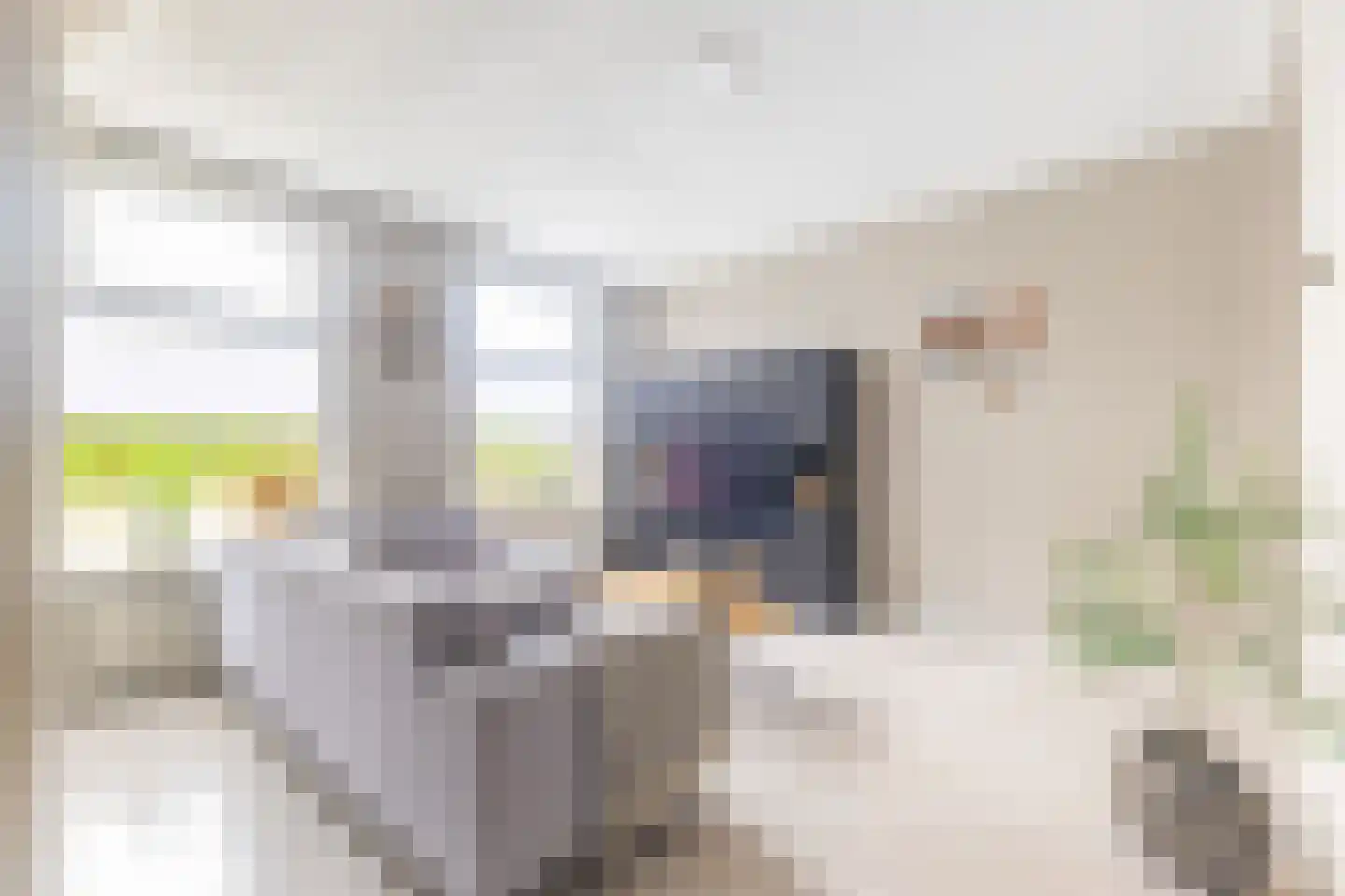 It Fliet 6 Earnewâld thumbnail 17