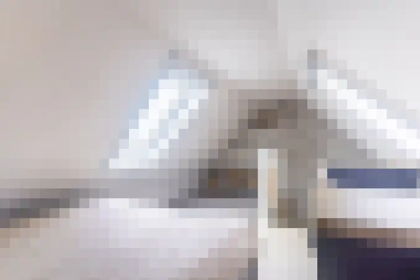 It Fliet 6 Earnewâld thumbnail 31