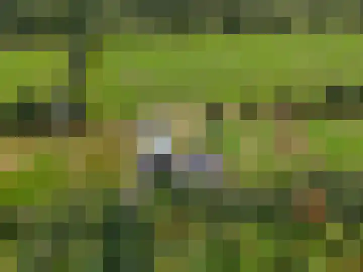 It Fliet 7 Harkema thumbnail 10