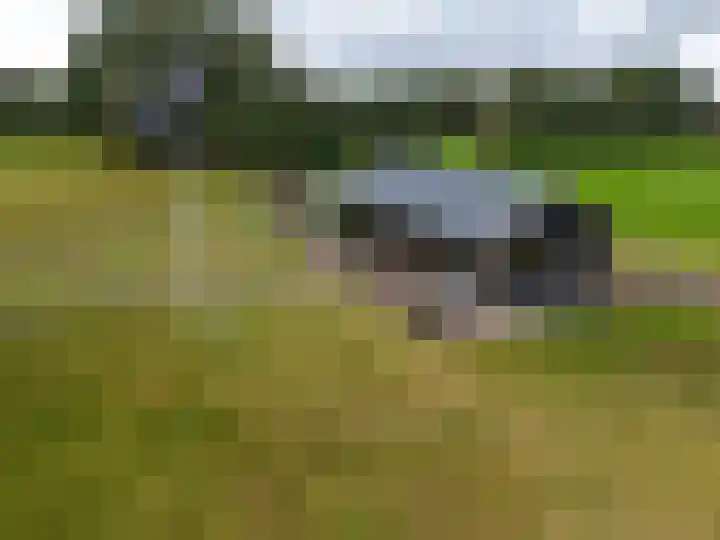 It Fliet 7 Harkema thumbnail 11
