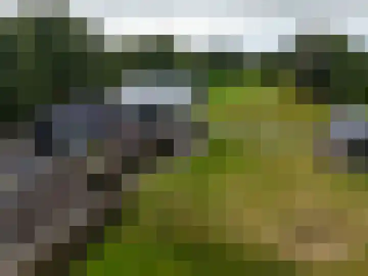 It Fliet 7 Harkema thumbnail 12