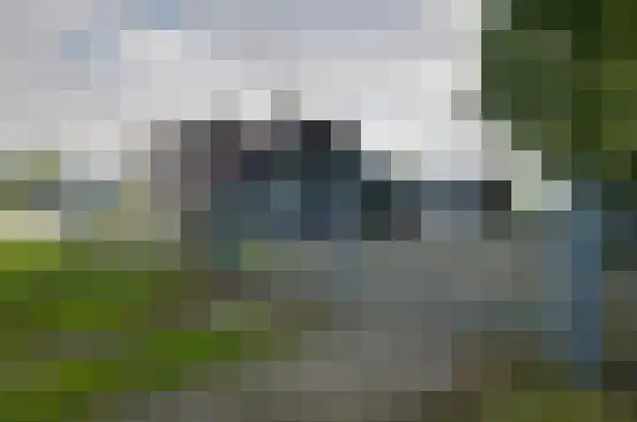 It Fliet 7 Harkema thumbnail 14