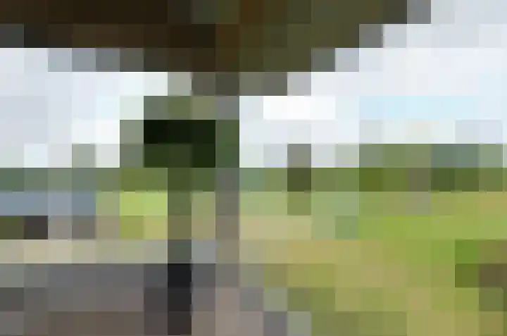 It Fliet 7 Harkema thumbnail 45