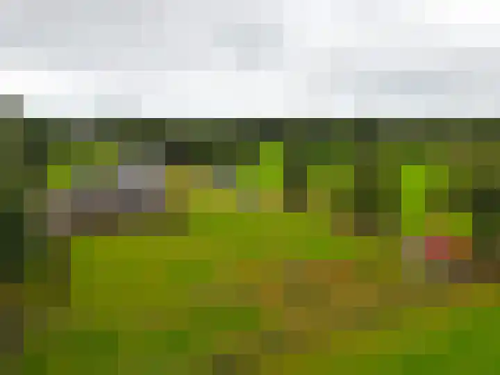 It Fliet 7 Harkema thumbnail 5