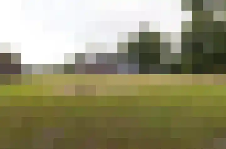 It Fliet 7 Harkema thumbnail 63