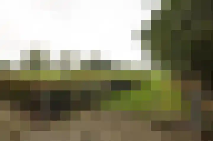 It Fliet 7 Harkema thumbnail 64