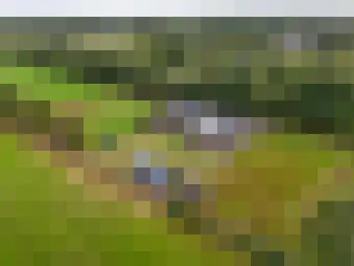 It Fliet 7 Harkema thumbnail 7