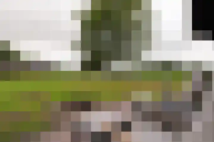 It Fliet 7 Harkema thumbnail 73