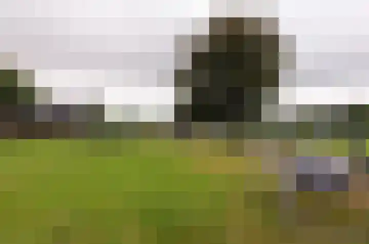 It Fliet 7 Harkema thumbnail 74