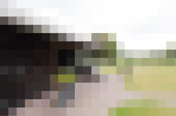 It Fliet 7 Harkema thumbnail 78