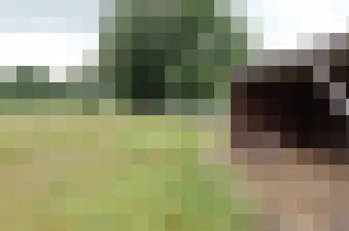 It Fliet 7 Harkema thumbnail 79