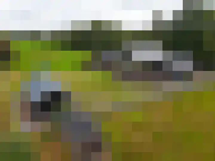 It Fliet 7 Harkema thumbnail 8