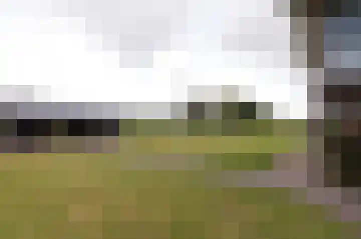 It Fliet 7 Harkema thumbnail 80