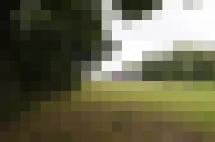 It Fliet 7 Harkema thumbnail 84