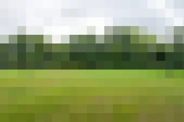 It Fliet 7 Harkema thumbnail 85