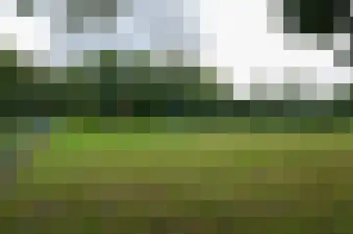 It Fliet 7 Harkema thumbnail 86