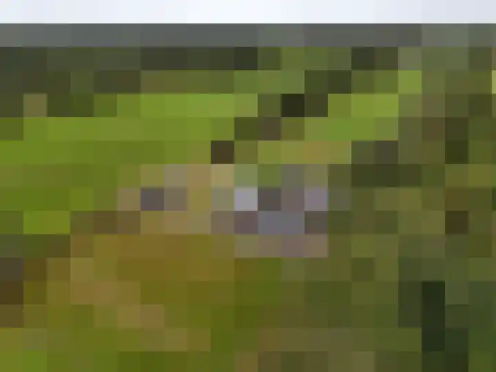 It Fliet 7 Harkema thumbnail 9