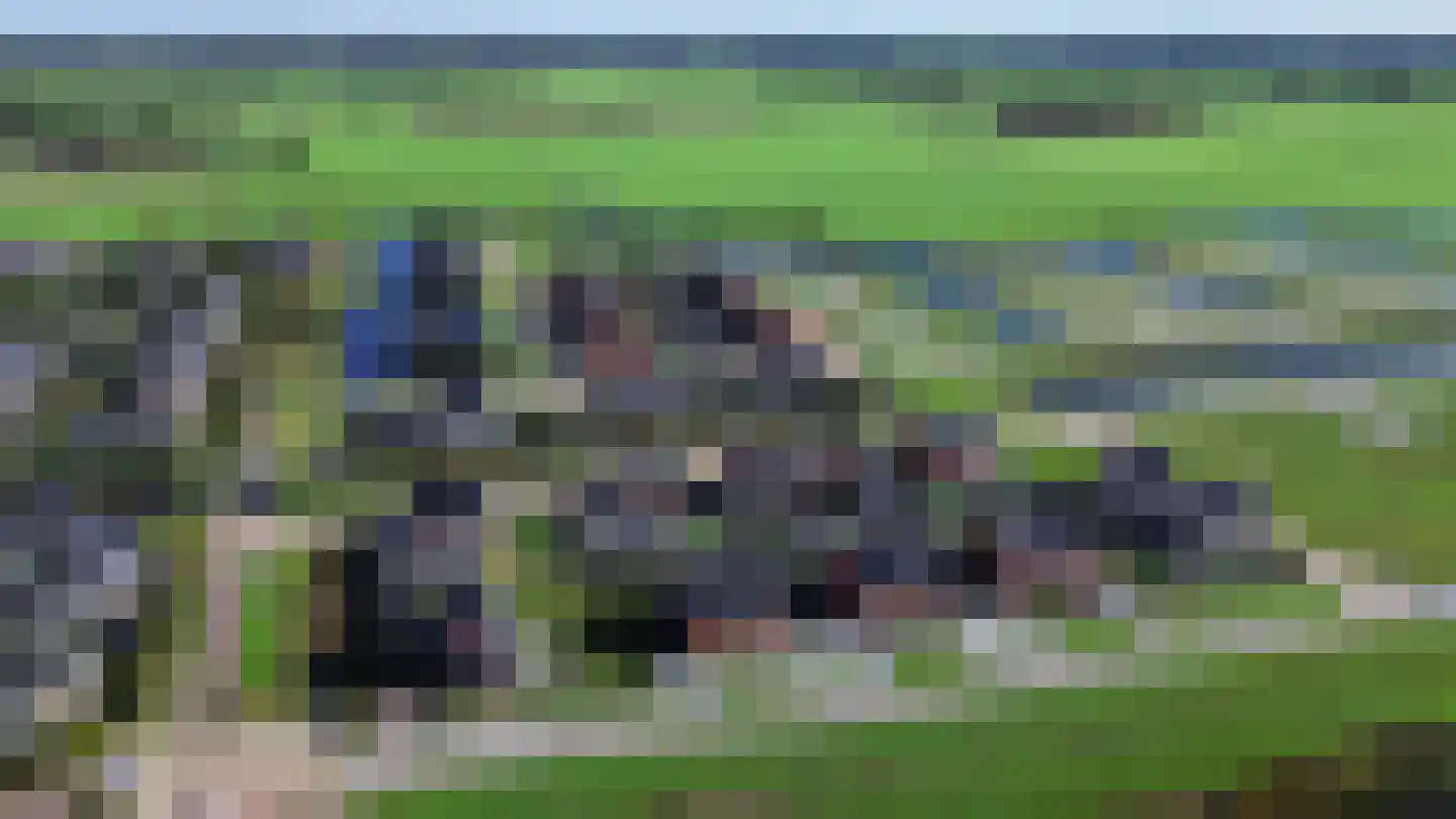 It Fluen 10 Gorredijk thumbnail 47