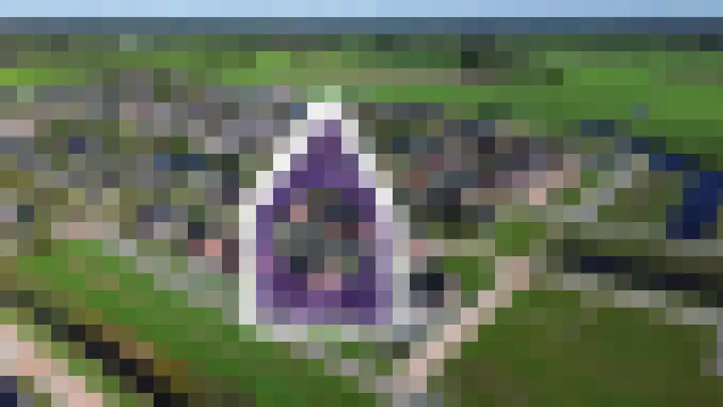 It Fluen 10 Gorredijk thumbnail 48