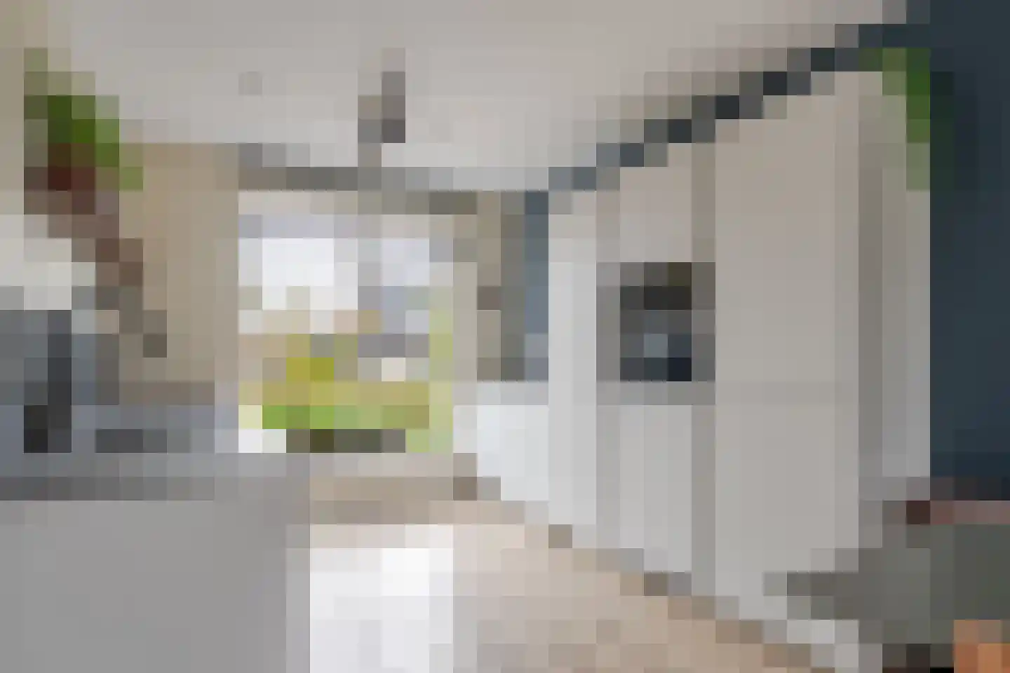 It Fluen 10 Gorredijk thumbnail 9
