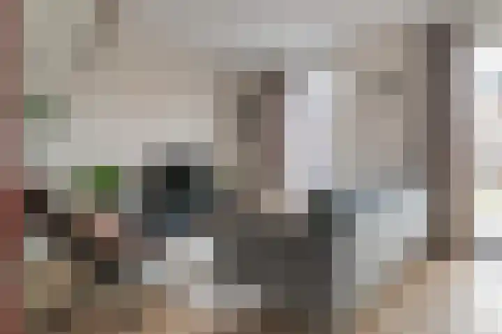 It Fluen 12 Gorredijk thumbnail 12