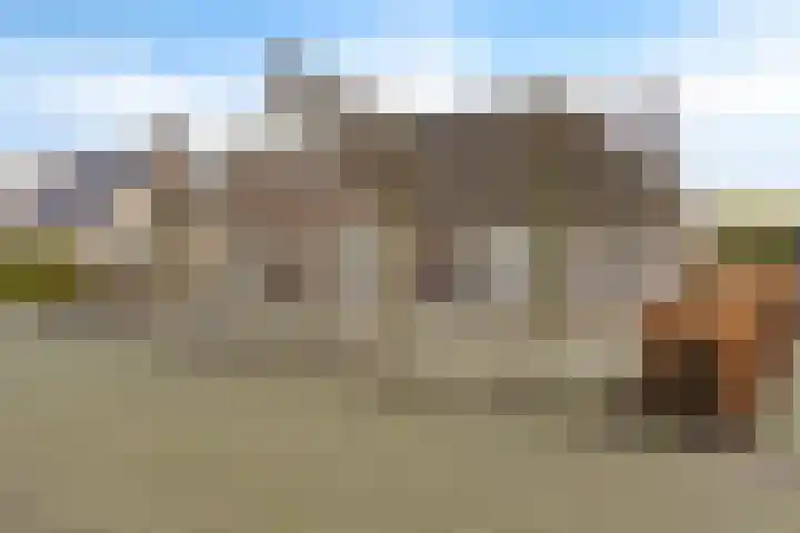 it Foardek 31 Heerenveen thumbnail 10